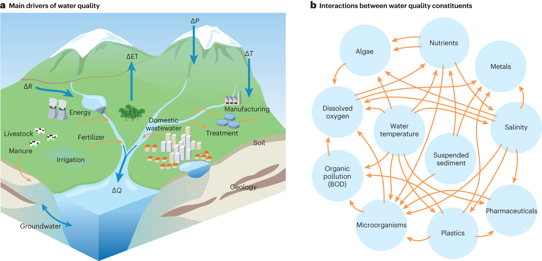 Climate change impacts on water quality