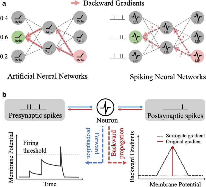 Spiking neural network architecture for PDE solving